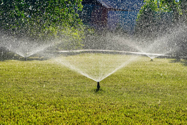 istock Automatic Garden Sprinkler. Backyard Watering Technology for green lawn 1407262064