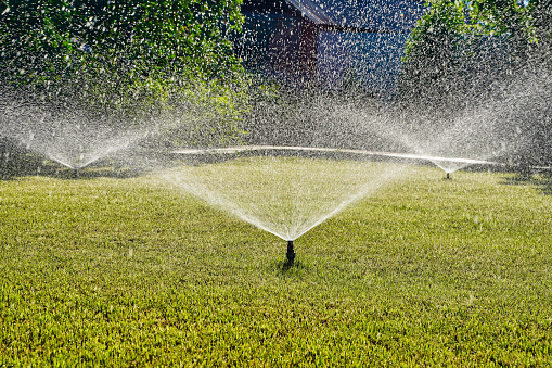 Automatic Garden Sprinkler. Backyard Watering Technology for green lawn. High quality photo
