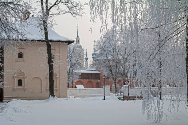 Beautiful trees with frosted branches on the territory of the Spaso-Evfimievsky Monastery, Suzdal. December.