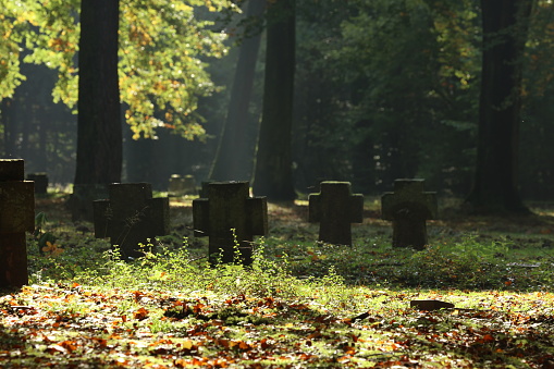 Military cemetery in autumn
