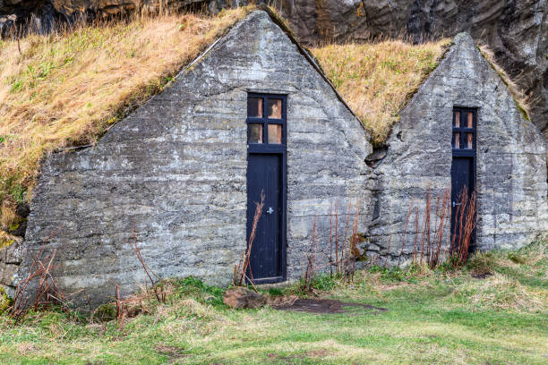 istock Small houses with grass roof 1407265568