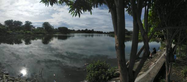 istock Morning on the lake 1407266268