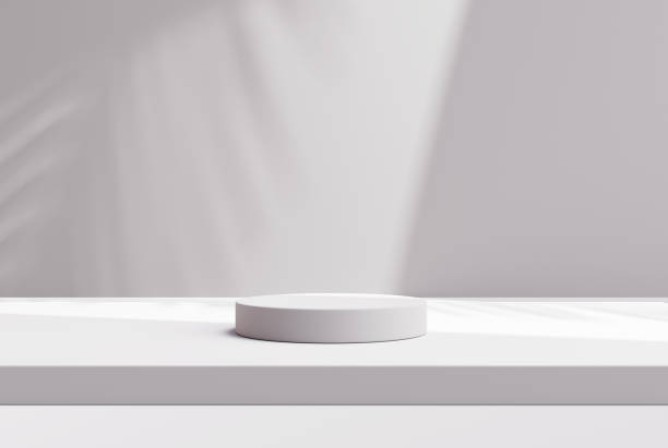 istock Gray pedestal podium with leaf background 3D illustration empty display scene presentation for product placement 1407266343