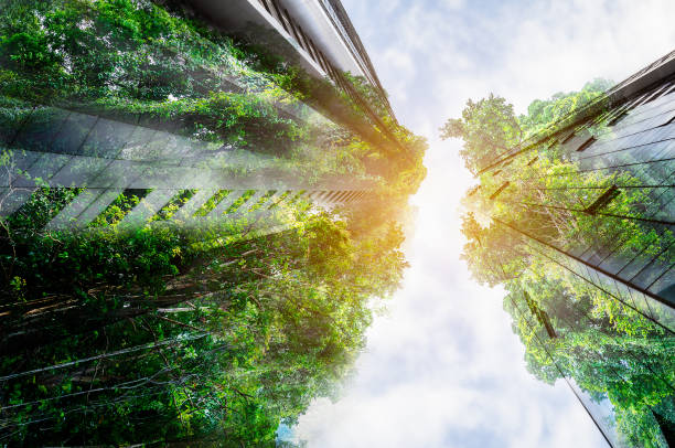 持続可能な資源 – グリーンビルディング - green building ストックフォトと画像