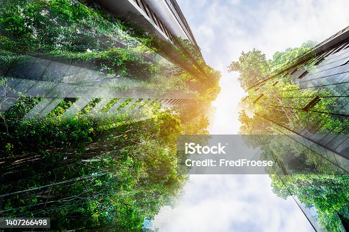 istock Sustainable Resources – Green Building 1407266498