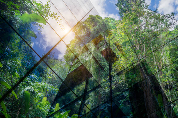 istock Sustainable Resources – Green Building 1407266506