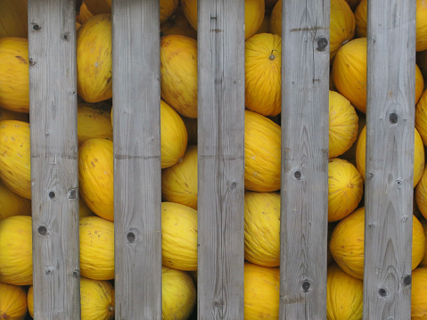 a collection of yellow honeydew melons in a wooden crate