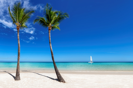 Sandy beach with palm trees and a sailing boat in the turquoise sea on Paradise island. Fashion travel and tropical beach concept.