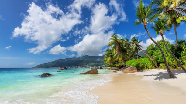istock Tropical Sunny beach on exotic Seychelles island. 1407268137