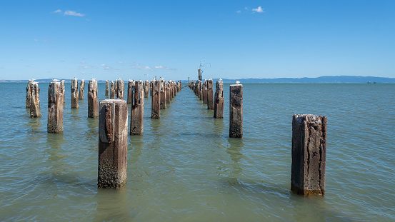 The Pilings are from one of the old cannery buildings at Lily Point, Boundary Bay, Point Roberts, Washington. Lily Point was the most important Native reef net fishery and one of the most significant salmon fisheries of the Central Coast Salish. In 1889, 16 Native reef nets were in operation and a single net would catch as many as 2,000 fish a day. A newspaper reported in 1881 that three reef nets took 10,000 fish in six hours. In the late 18th century, non-Indian fish traps displaced traditional reef nets. Alaska Packers purchased a year old cannery at Lily Point in 1884. The cannery was abandoned in 1917, leaving pilings and debris still visible today.