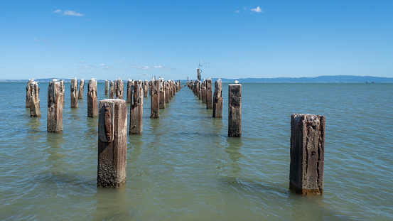 Birds resting on the remains of historic Burke street wharf, Thames, Coromandel, New Zealand.