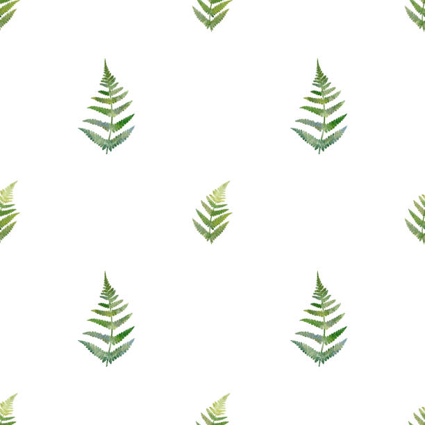 istock Watercolor greenery seamless pattern. Hand drawn fern illustration for fabric, wrapping paper on white background 1407271428