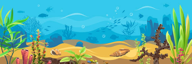 ilustrações de stock, clip art, desenhos animados e ícones de vector ocean world. exotic seascape with seaweeds, fish and corals. aquatic ecosystem. - starting at the bottom