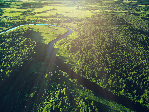 Aerial view road and curved river flowing through the green forest insummer