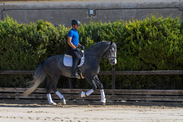 istock Young jockey riding a thoroughbred horse. 1407274287