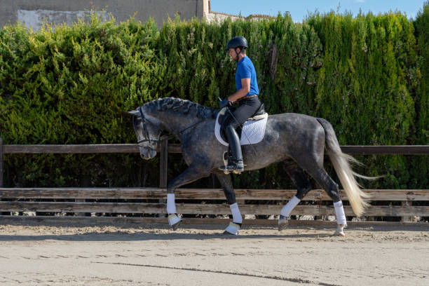 istock Young jockey riding a thoroughbred horse. 1407274336