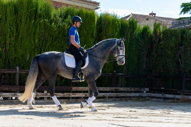 istock Young jockey riding a thoroughbred horse. 1407274447