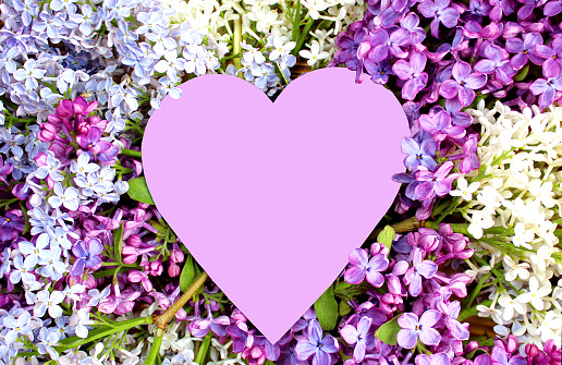 Isolated heart shape lies on lilac flowers.