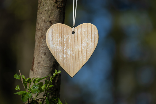 A stack of firewood with a wooden heart in the middle.