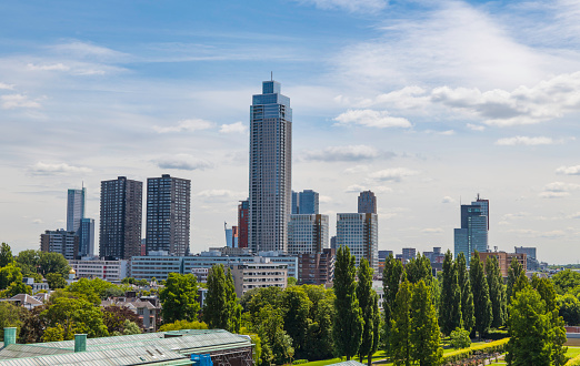 the skyline of the city of rotterdam in the netherlands with a lot of greenery and the zalhaventower, the largest tower in holland and of a new skyscraper and high rise buildings on a summer day with blue sky and clouds