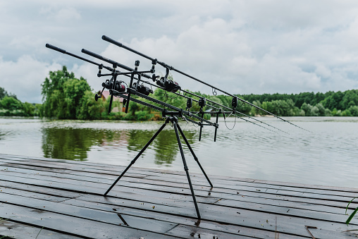 Fishing rods for carp fishing with signaling devices on holder. Rod pod. Fishing for pike, perch, carp on background of lake and nature.  Misty morning. Wilderness area. Fishing in rainy weather, rain