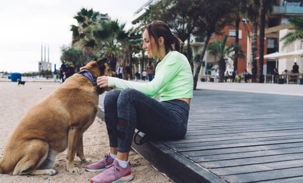 istock Cheerful young lady with dog resting on beach 1407285757