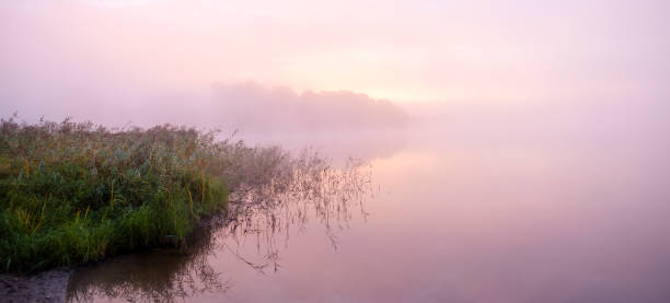 amanecer brumoso sobre el lago en suecia desde la naturaleza de estocolmo - sky pink photography lake fotografías e imágenes de stock