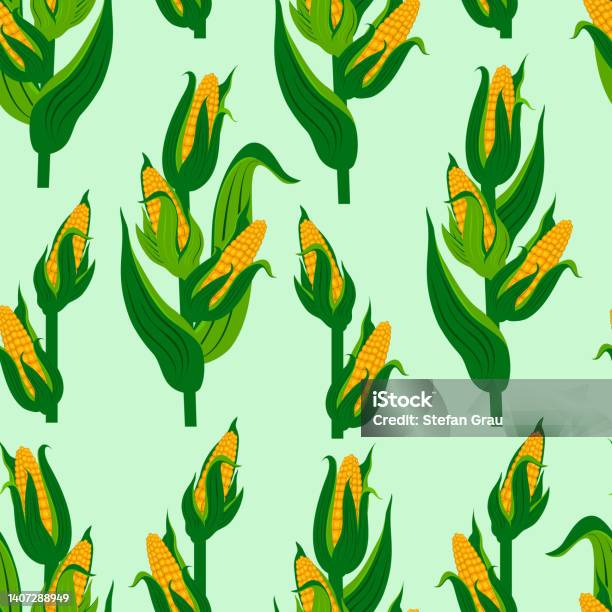 Corn Field Pattern Design Vector Corn Plants Seamless Pattern Template Stock Illustration ...