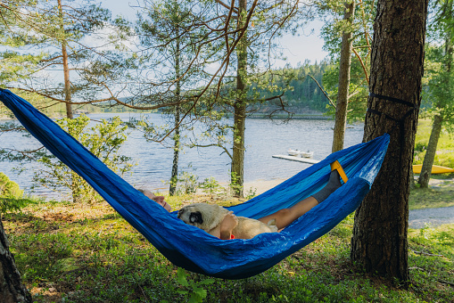 Happy female and her cute dog - pug breed lying in a hammock admiring the beauty of Swedish nature during summertime