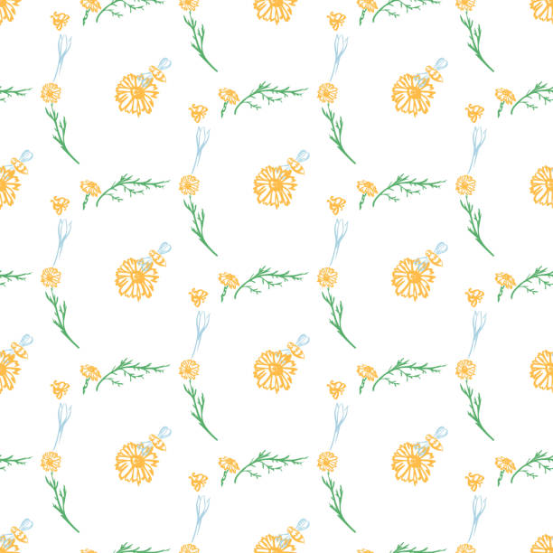 modny bezszwowy kwiatowy wzór wektora - bee backgrounds chamomile plant fragility stock illustrations