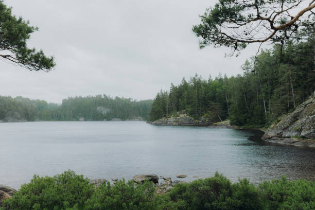 istock Moody summer day with Swedish nature 1407290257