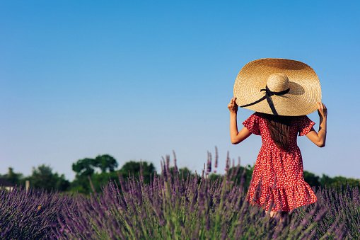 Young woman in red dress and wide-brimmed hat walks among lavender field and enjoys by blooming. Back view against blue sky. Image with copy space.