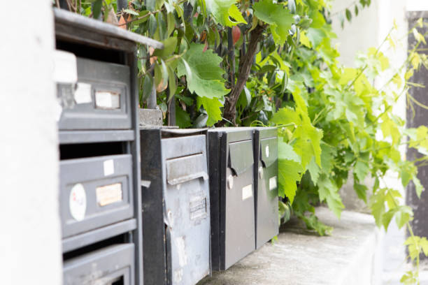 istock Vine leaves and mailboxes outside a house 1407295671
