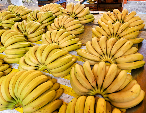 fresh bananas sold at street fair