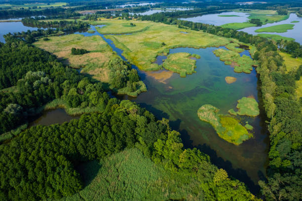 istock landscape with a beautiful lakes (aerial) 1407299310