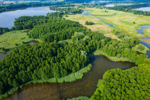istock landscape with a beautiful lakes (aerial) 1407299315