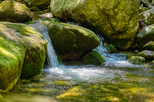 beautiful mountain stream in the forest