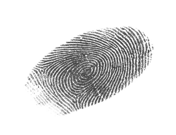 istock Black fingerprint made with ink on white background 1407299576