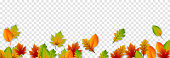 istock Vector leaves on an isolated transparent background. Autumn, leaves lie on the ground. Leaves. 1407303383