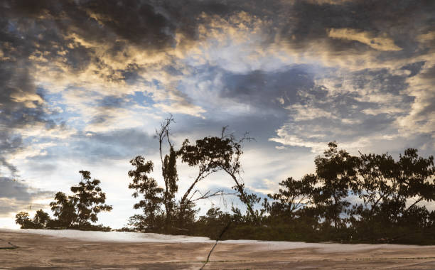 Landscape texture background water reflection of sky clouds and tree silhouette during daytime on concrete after rain in a rural area of Thailand.
