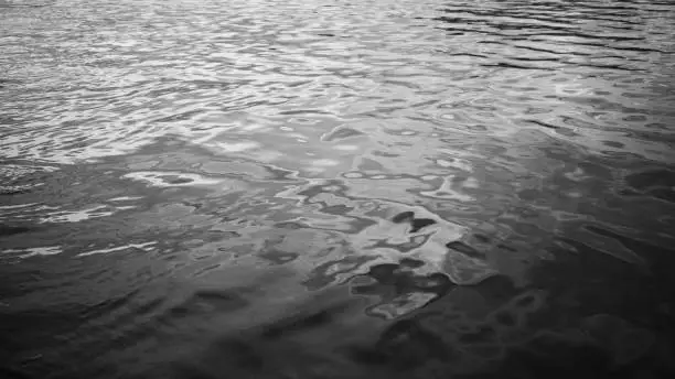 Photo of Black white water surface. Ripples. Reflection of light. Small waves. Background with space for design.