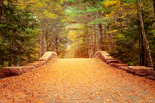 Carriage way in the Acadia National Park in October