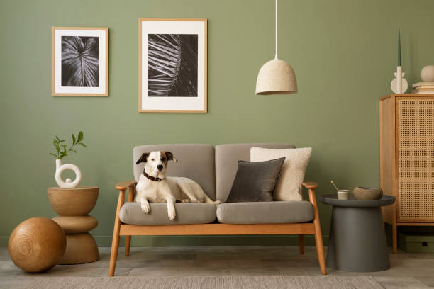 istock Elegant composition of living room interior. Modern scandi sofa, dog, side table and creative personal accessories. Sage green wall. Template. Copy space. 1407309649