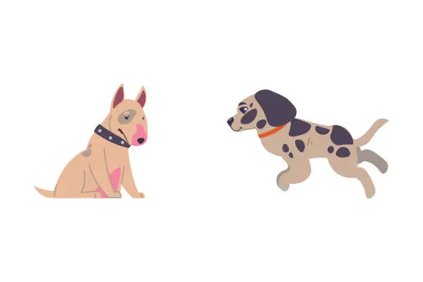 Vector illustration of Adopted pets. People taking animals from vet clinics and dog shelter. Homeless puppies. Bullterrier and dalmatian walking in collars. Canine breeds. Cartoon doggy characters vector set