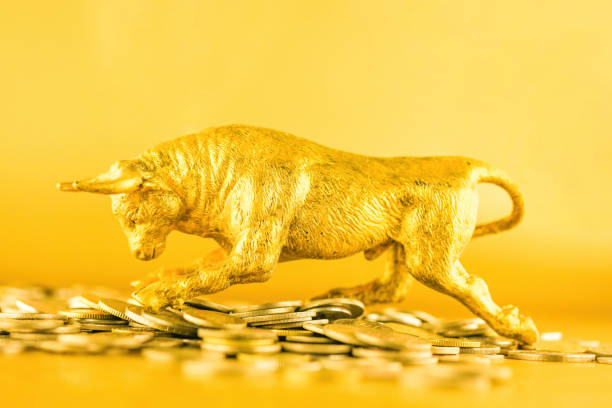 Bull walking over crypto coins against golden background. Market uptrend concept. stock photo