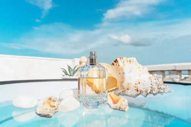 Photo of transparent spray bottle of women's or men's perfume with shells on the glass surface of the swimming pool,tropical plants on the terrace and blue sky in summer,selective focus.Summer concept