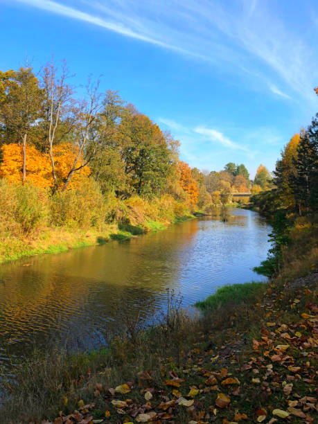 istock River in the autumn landscape 1407319968