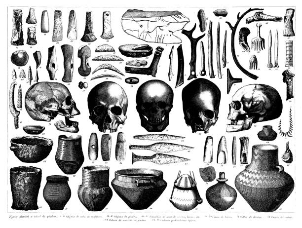 ilustraciones, imágenes clip art, dibujos animados e iconos de stock de colección de grabados antiguos, civilization: ice and stone age - prehistoric antiquity illustrations