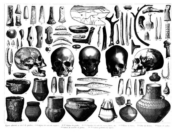 골동품 조각 컬렉션, 문명 : 얼음과 석기 시대 - prehistoric antiquity stock illustrations