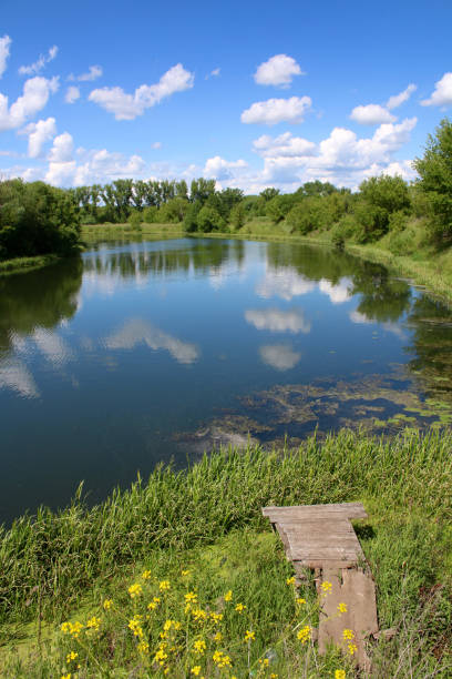A small calm river and a wooden fishing pier on the shore. Clouds reflect in the river.